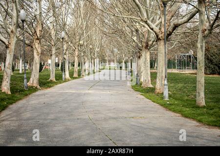 In einem Park mit einer Vielzahl von grünen Bäumen an den Seiten der Straße und Straßenlaternen in herbstlicher Atmosphäre bedruckter, gefliester Weg auf Beton Stockfoto