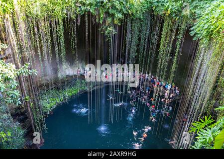 Schwimmen im Cenote Ik Kil in Yucatan, Mexiko, eine natürliche Grube oder ein Loch in der Nähe von Chichen Itza. IK Kil war den Mayas heilig, die dieses Cenote für B. Stockfoto