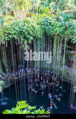 Schwimmen im Cenote Ik Kil in Yucatan, Mexiko, eine natürliche Grube oder ein Loch in der Nähe von Chichen Itza. IK Kil war den Mayas heilig, die dieses Cenote für B. Stockfoto