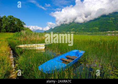 Boote am Ufer, See Plavsko, Plavsko jezero, Plav, Montenegro Stockfoto