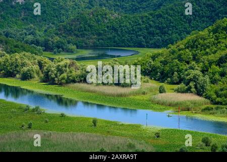 Fluss Crnojevic, in der Nähe von Rijeka Crnojevica, Skadar Lake National Park, in Cetinje, Montenegro Stockfoto