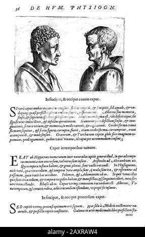 1586, ITALIEN: Der gefeierte italienische Philosoph, Universalgelehrter, Okkultist, Dramatiker und Alchemist GIOVANNI BATTISTA DELLA PORTA ( Vico Equense , 1535 Ca - Napoli, 1615 ). Gravur von einer Seite des Buches DE HUMANA PHYSIOGNOMONIA, Bd. III, gedruckt in Vico Equense ( Neapel ), 1586 . - FISIOGNOMICA - PHYSIOGNOMIE - FILOSOFO - FILOSOFIA - ALCHEMIE - ALCHIMIA - ALCHIMISTA - PHILOSOPHIE - THEATER - COMMEDIGOGRAFO - DRAMMATURGO - PLAYWRIGHTER - GIAMBATTISTA - GIOVAMBATTISTA - MATEMATICO - MATEMATICA - METAROLOROLOSTOLOSTOLOSTOLOGOLOGOLOGRAGIE - METEOROLOGIE - METEOROLOGIE - METEOROLOGIE - METEOROLOGIE - METEOROLOGIE - METEOROLOGIE - METEOROLOGIE - METEOROLOGIE - METEOROLOGIE - METEOROLOGIE - METEOROLOGIE Stockfoto