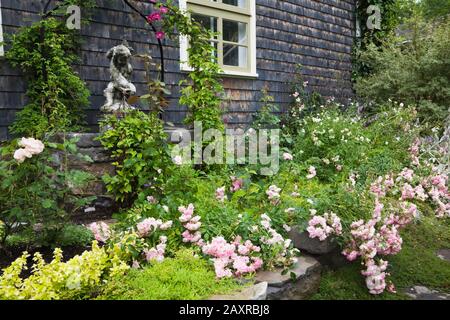 Erhöhte Steingrenze mit Rosa 'die Fee' - Rosenblüten, Skulptur des Jungen mit einem Delphin und schwarze schmiedeeiserne Arbour mit Hedera bedeckt Stockfoto