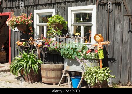Bauernladen und Café in Gohrisch, Elbsandsteingebirge, Nationalpark Sächsischen Schweiz, Sachsen, Deutschland Stockfoto