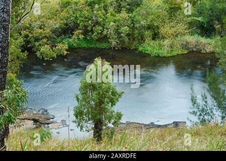 Wasserlauf über den Big Millstream Falls bei Atherton Tableland im Frühling, Queensland, Australien Stockfoto