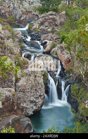 Big Millstream Falls am Atherton Tableland im Frühjahr, Queensland, Australien Stockfoto