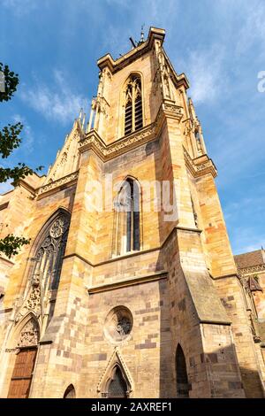 Frankreich, das Elsaß, Colmar, genannt Martinsmünster, die römische katholische (ehemalige) Kollegiatkirche Saint-Martin (Collégiale Saint-Martin) ist die dominierende Sackgasse Stockfoto