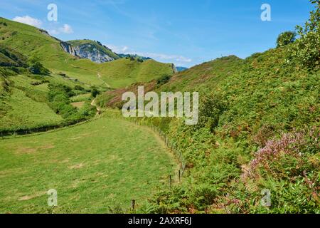 Landschaft, Küste, Geopark, Costa Vasca, Meer, zwischen Zumaia und Itxaspe, Baskenland, Spanien Stockfoto