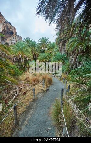 Landschaft, Spaziergang am Palmenstrand in der Lagune von Preveli, auf Crete, Griechenland Stockfoto