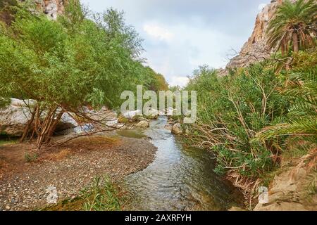 Landschaft vom Palmenstrand an der Lagune von Preveli, Teich, Crete, Griechenland Stockfoto