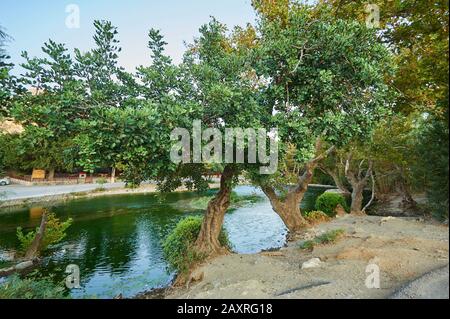 Landschaft der Lagune von Preveli, Teich, Crete, Griechenland Stockfoto