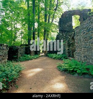 Ruine der Abtei im Klosterpark des Klosters Altzella bei Nossen, Sachsen, Deutschland Stockfoto