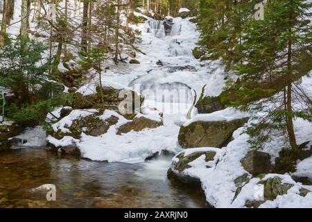 Tiefgefrorener Wasserfall im Winter, Rieslochfälle, Bodenmais, Nationalpark Bayerischer Wald, Bayern, Deutschland Stockfoto