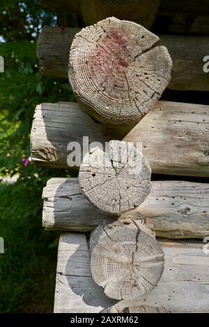 Holzstämme einer traditionellen Holzhütte in der Partnach-Schlucht im Sommer, Garmisch, Partenkichen, Bayern, Deutschland Stockfoto