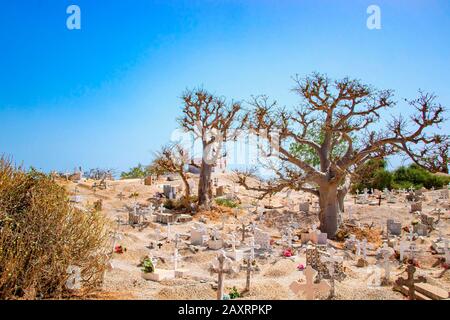 Joal-Fadiout, Senegal - April, 26, 2019: Baobab Bäumen auf dem christlichen Friedhof. Joal-Fadiouth Stadt und Kommune in der Region Thiès am Ende der Stockfoto