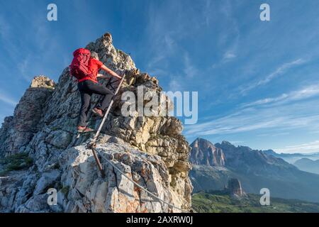 Cortina d'Ampezzo, Belluno, Venetien. Italien. Kletterer auf dem Aufstieg nach Nuvolau Stockfoto