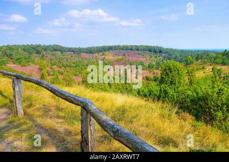 Landschaft mit dem Namen Totengrund, Lueneburgische Heide im Herbst bei Wilsede Stockfoto