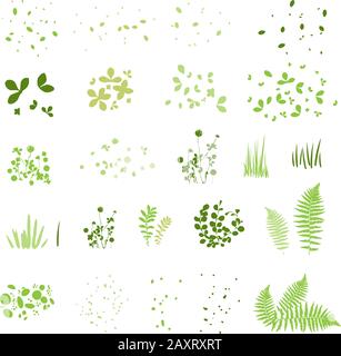 Satz Silhouetten von Sommergras, Blättern, Baumlaub, verschiedenen Grüntypen isoliert auf weißer Vektorgrafik Stock Vektor