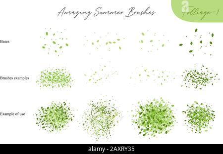 Satz von sommerlichen Vektor-Blattökologiebürsten - Silhouetten von Sommerblättern, Laub von Bäumen, verschiedene Grüntypen isoliert auf Weiß, Vektor Stock Vektor