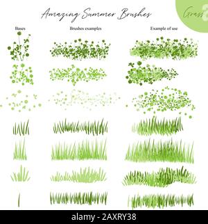Set aus sommerlichen Vektorgrasökologiebürsten - Silhouetten von Sommergras, Blumen, verschiedenen Erdgrünarten isoliert auf Weiß, Vektor Stock Vektor