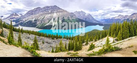 Panorama des Peyto Lake und Landschaft der kanadischen Rockies Stockfoto