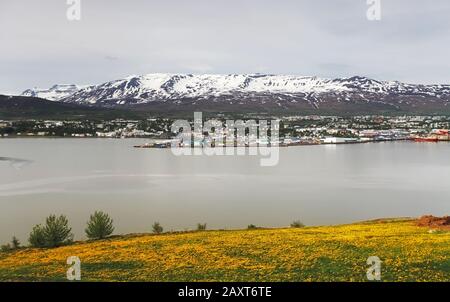 Akureyri Stadt - Island Stockfoto