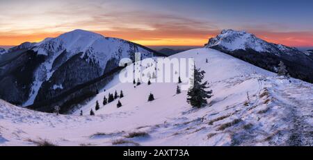 Winterlandschaft in Mala Fatra auf dem Hügel Velky Rozsutec in der Slowakei Stockfoto