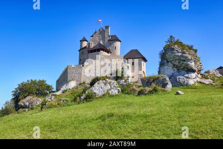 Mittelalterliche Burg Lindenberg, Polen Stockfoto