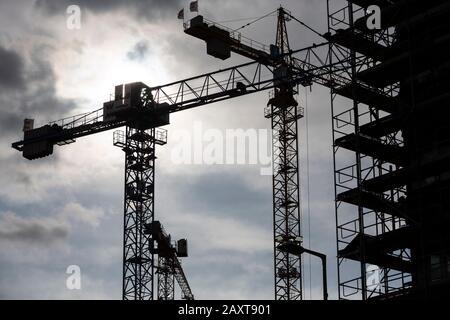 Berlin, Deutschland. Februar 2020. Auf einer Baustelle stehen Baukräne. Credit: Christoph Soeder / dpa / Alamy Live News Stockfoto