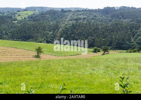 Wiesen für das Rind im Norden Spaniens, Asturien Stockfoto
