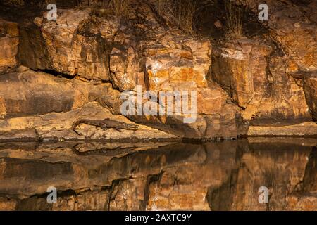 Indien, Rajasthan, Ranthambhore, Nationalpark, Zone 1, Juvenile Mugger-Krokodil in der Sonne Stockfoto