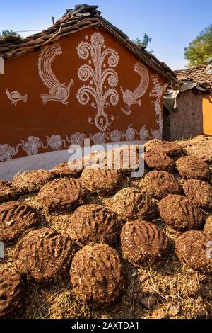 Indien, Rajasthan, Ranthambhore, Khilchipur, traditionelle Kuh-Mist-Brennstoffkuchen, die bei Sonnenschein an traditionell bemalter Wand trocknen Stockfoto