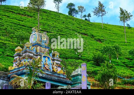 Hindu-Tempel in der Nähe einer Teeplantage in Nanu Oya, Sri Lanka. Stockfoto