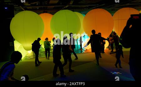 Tokio, Japan: 16. November 2019: Digital Art Museum Team Lab Tokyo, Japan. Stockfoto