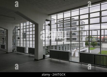 Dessau, Bauhaus, Walter Gropius 1925-26, Blick aus dem Werkstatt-Flügel zum Prellerhaus Stockfoto