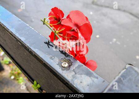 Ein neues Kunstwerk an der Seite eines Hauses an der Marsh Lane, Barton Hill, Bristol, das von dem Straßenkünstler Banksy vermutet wird. Die schwarz-weiße Schablone eines Mädchens mit Katapult und Lack aus Rosen und Plastikblumen ist im Stil von Banksy, muss aber noch als Werk des Künstlers bestätigt werden. PA Foto. Bilddatum: Donnerstag, 13. Februar 2020. Der Lichtbildkredit sollte lauten: Ben Birchall/PA Wire Stockfoto