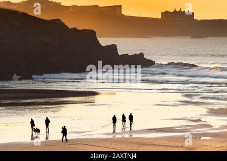 Spaziergänger und ihre Hunde laufen bei Ebbe am Porth Beach, in Newquay in Cornwall. Stockfoto