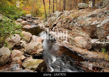 Faszinierender Blick auf die Pickle Creek Quelle in den Sandsteintälern des Hawn State Park, Missouri Stockfoto