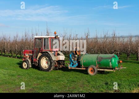 Sint Gillis Waas, Belgien 16. Januar 2020, Traktor mit Dungenkarren bereit, das Feld mit Dung zu besprühen Stockfoto