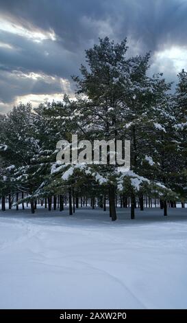 Montreal, Quebec, Kanada, Februar 13.2020.Winter Landscenes.Montreal, Quebec,Kanada.Credit:Mario Beauregard/Alamy Stockfoto