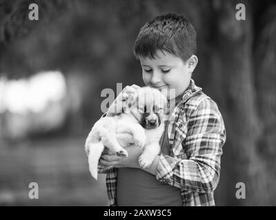 Kind umarmt einen kleinen Welpen. Kinder lieben Tiere Stockfoto
