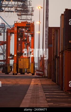 Container Mover Transport von Containern um den Hafen Terminal für das Be-und Verladen auf dem Schiff. Stockfoto