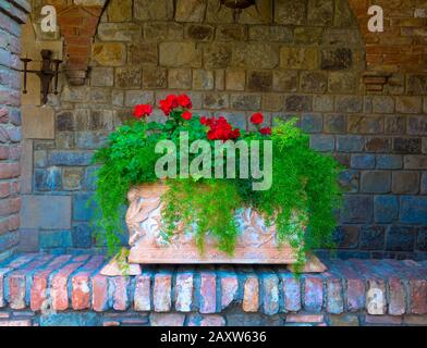Blumen im alten Trog vor einer Ziegelwand Stockfoto