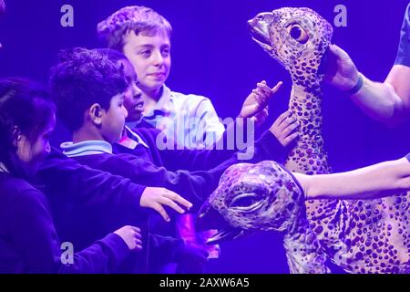 Southbank Center, London, 13. Februar 2020. Die Kinder interagieren mit zwei kleineren Dinosauriern. Örtliche Schüler der Stockwell Primary School treffen auf die Puppensaurier aus Erths Dinosaurier-Zoo, einem Teil des "Imagine Children's Festival" des South Bank Centers. Das Festival läuft bis Sonntag, 23. Februar und ist in seiner 19. Ausgabe in diesem Jahr. Kredit: Imageplotter/Alamy Live News Stockfoto