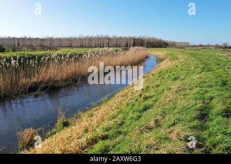 River Nar in Pentney, Norfolk Stockfoto