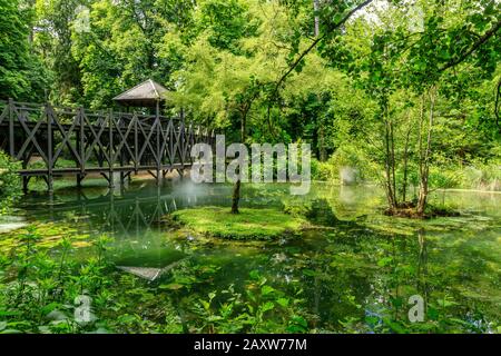 Frankreich, Indre et Loire-Tal, das von der UNESCO zum Weltkulturerbe ernannt wurde, Amboise, Chateau du Clos Lucé Park and Gardens, der Jardin de Leonards, The Le Stockfoto