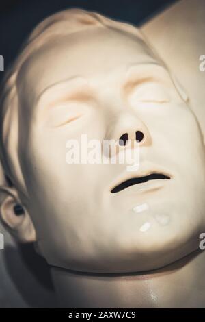 Ein Layout medical mannequin Gesicht Mann mit offenen Mund close-up, medizinische Ausstellung Stockfoto