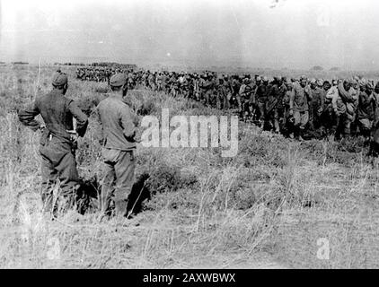 Blutige Schlacht an der Ostfront in Russland im Zweiten Weltkrieg Stockfoto