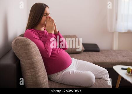 Erschöpfte schwangere Frau bläst die Nase. Stockfoto