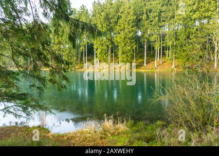 Der Grumbacher Teich bei Hahnenklee-Bockswiese, Goslar, Niedersachsen, Deutschland Grumbacher Teich neari Hahnenklee-Bockswiese, Goslar, Lowe Stockfoto